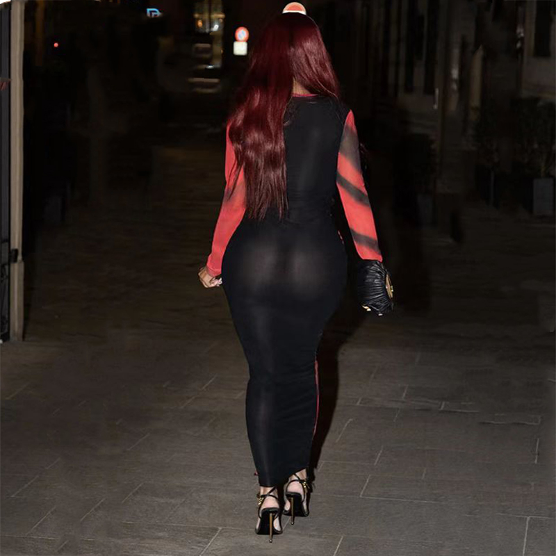 Raiden See-Through Dress